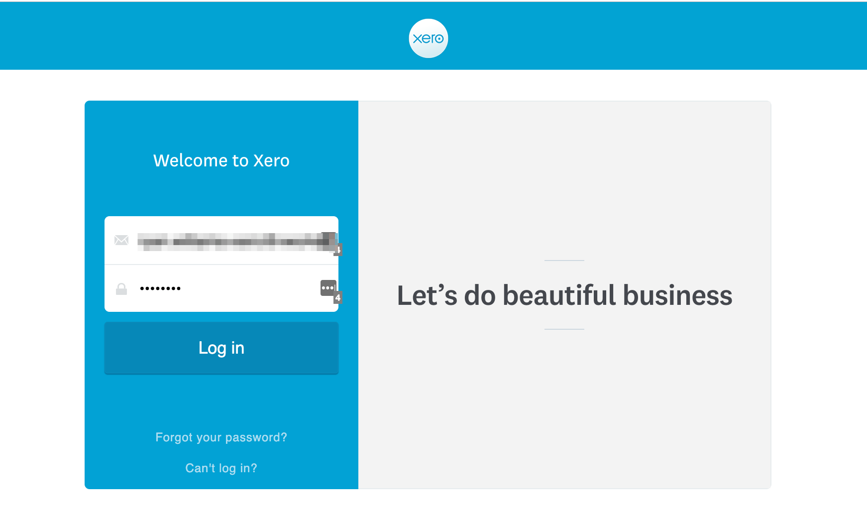 allow access on xero accounting software