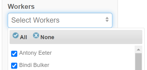 Reports_Filters_Workers.png