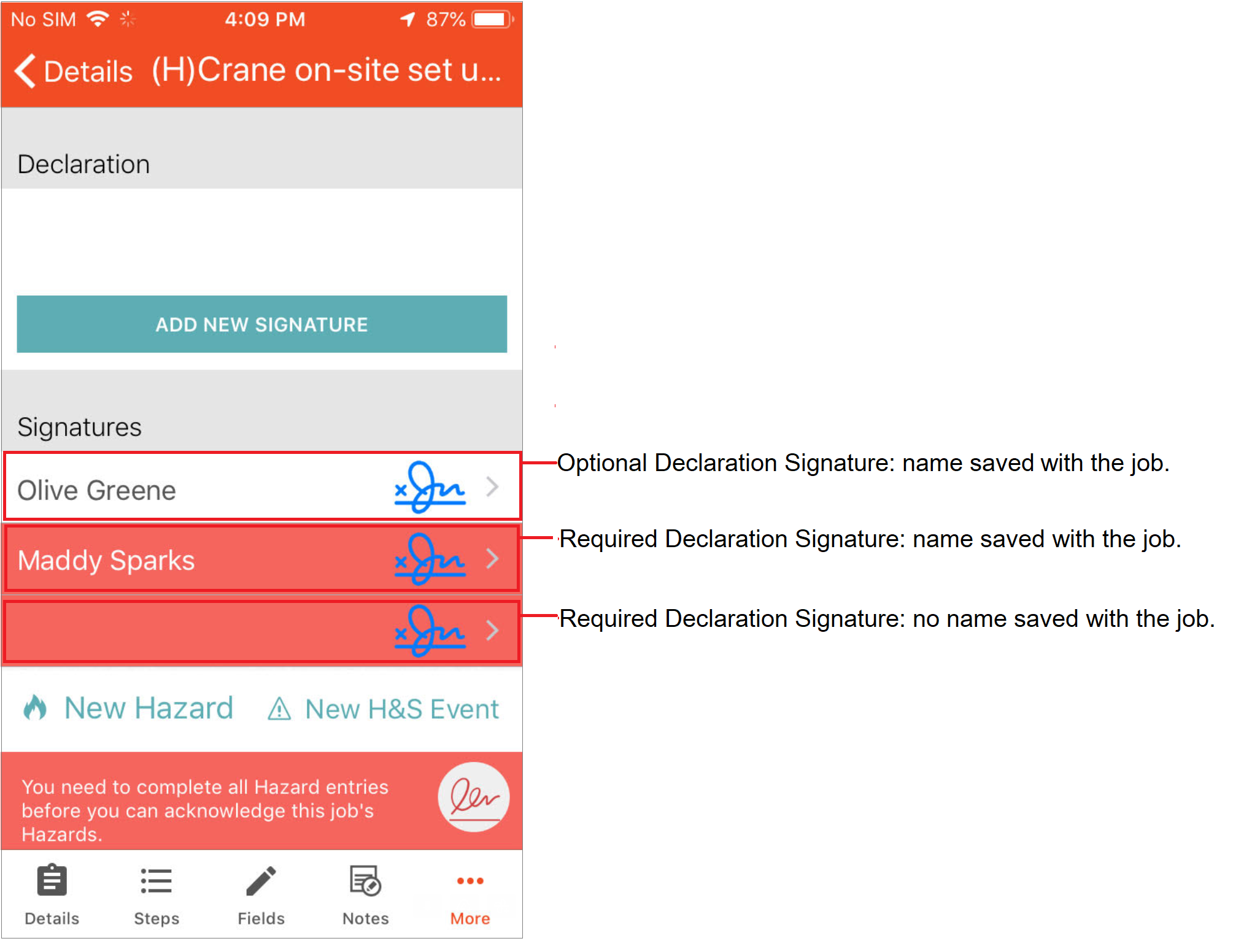 IOSdeclaration_signature_options.png